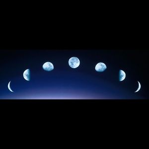 Meet your Posher, Paulette